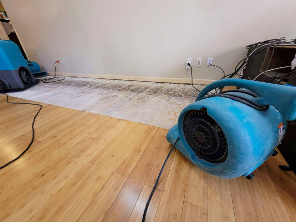 Professional Flood Damage Cleanup technician working in Cottage Grove, WI